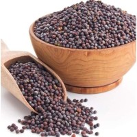 Biji Sawi 500g India