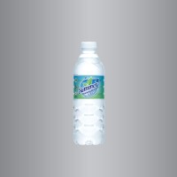 Summer Drinking Water 500ml x 24
